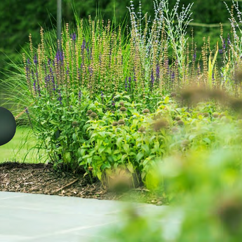 Bocinas para jardin